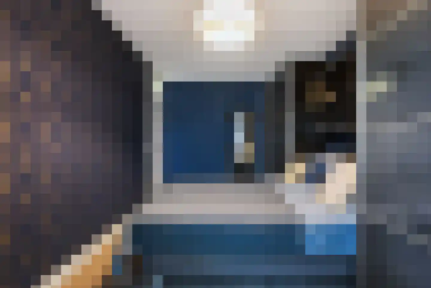 Lisdodde 5 Hardenberg thumbnail 23