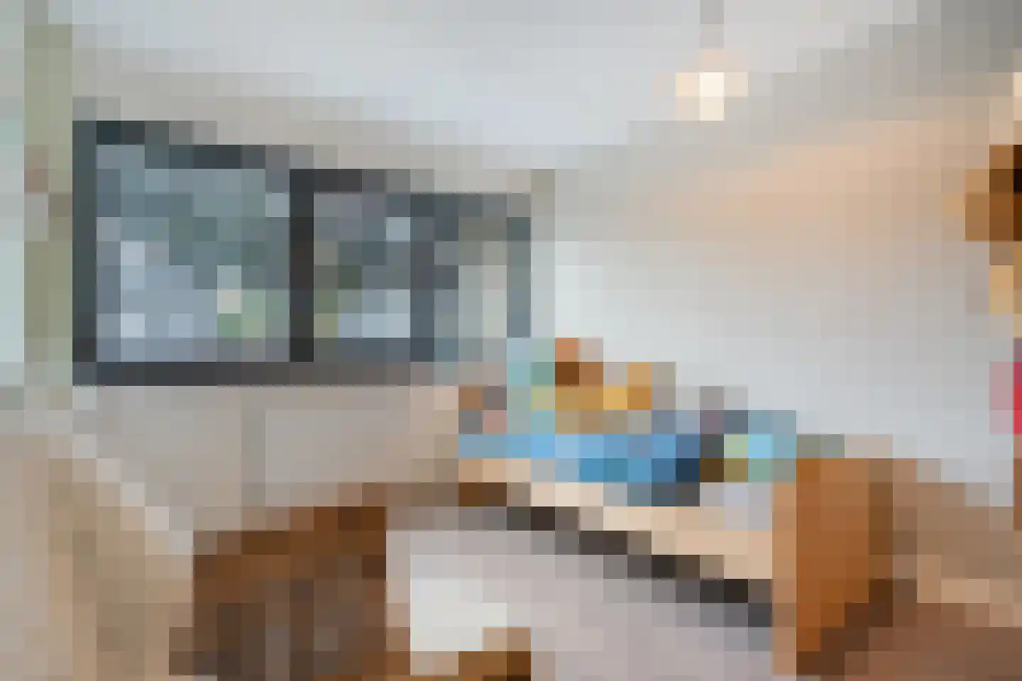 Lisdodde 5 Hardenberg thumbnail 26
