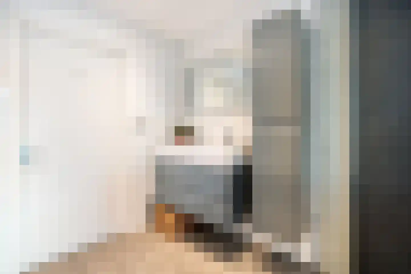Lisdodde 5 Hardenberg thumbnail 28