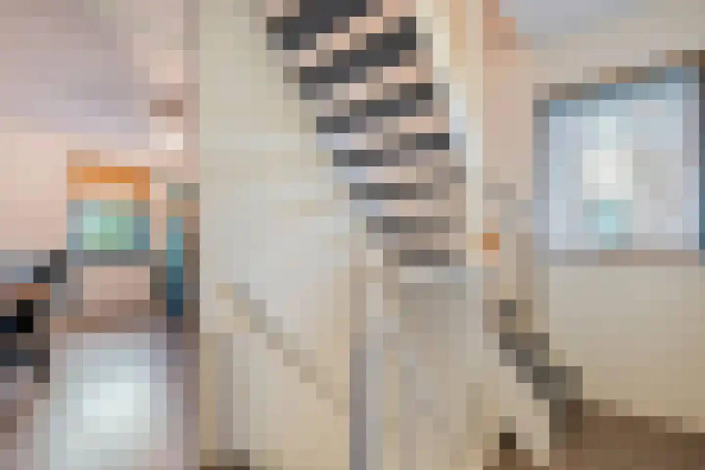 Lisdodde 5 Hardenberg thumbnail 31