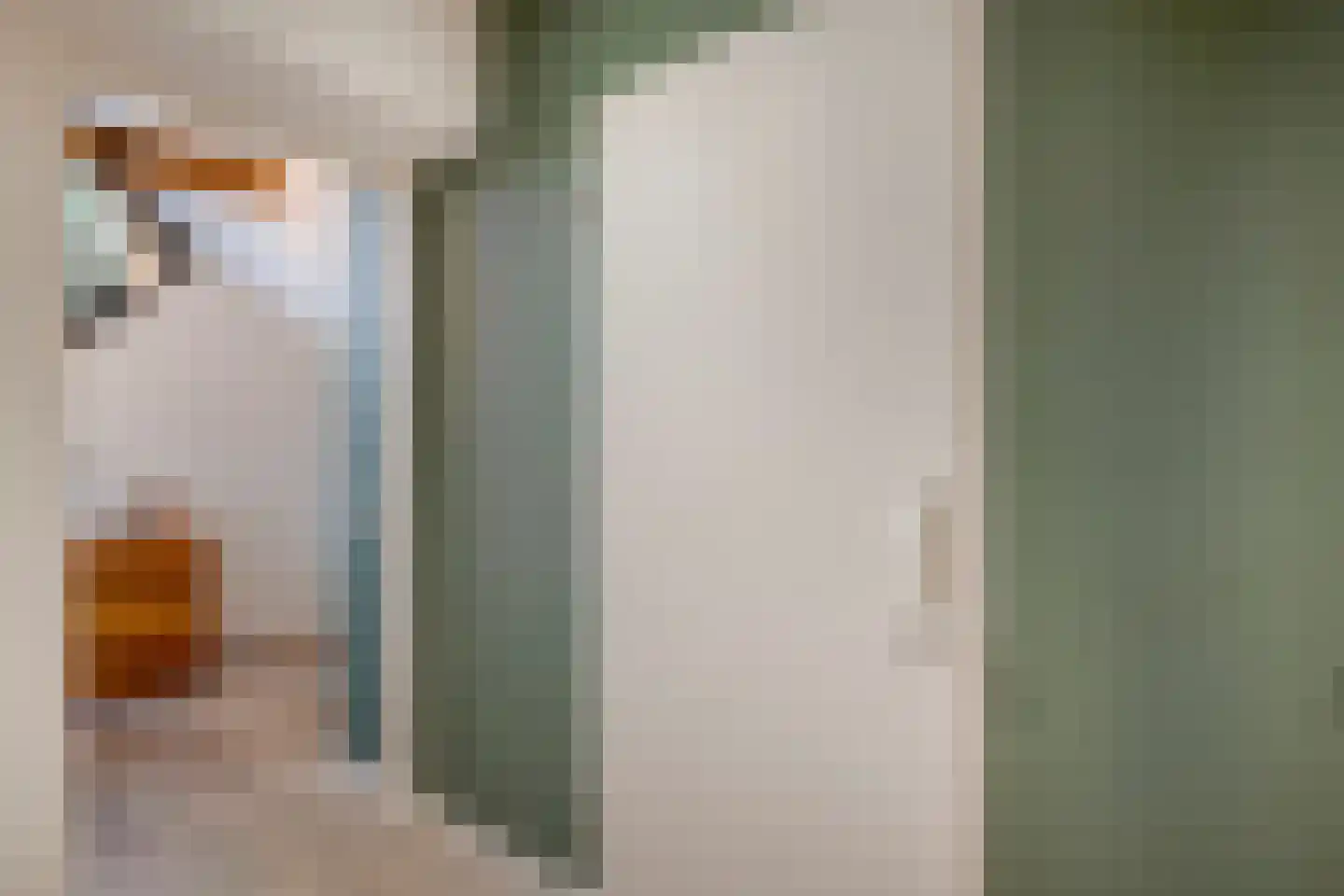 Lisdodde 5 Hardenberg thumbnail 32