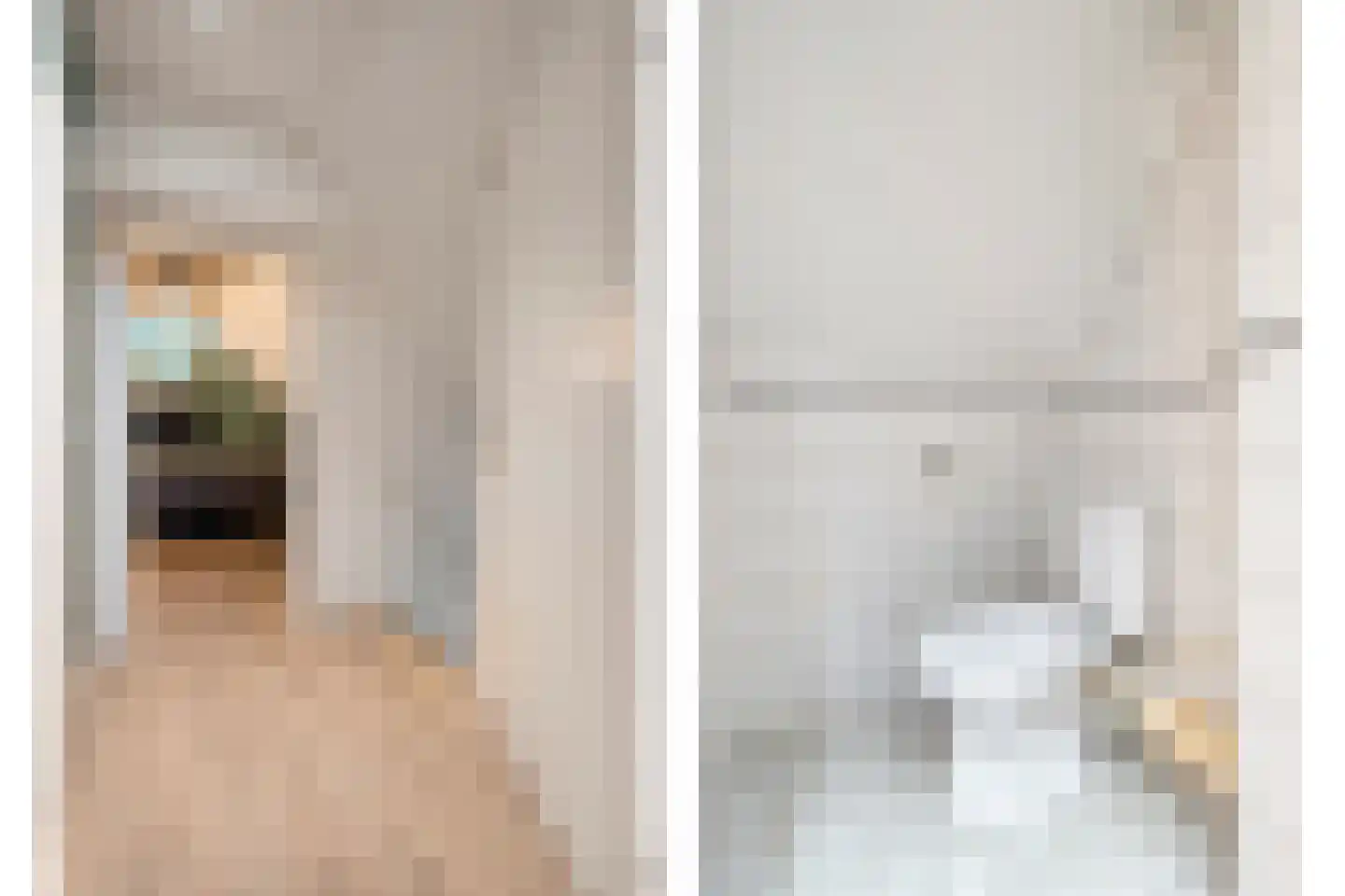 Lisdodde 5 Hardenberg thumbnail 33