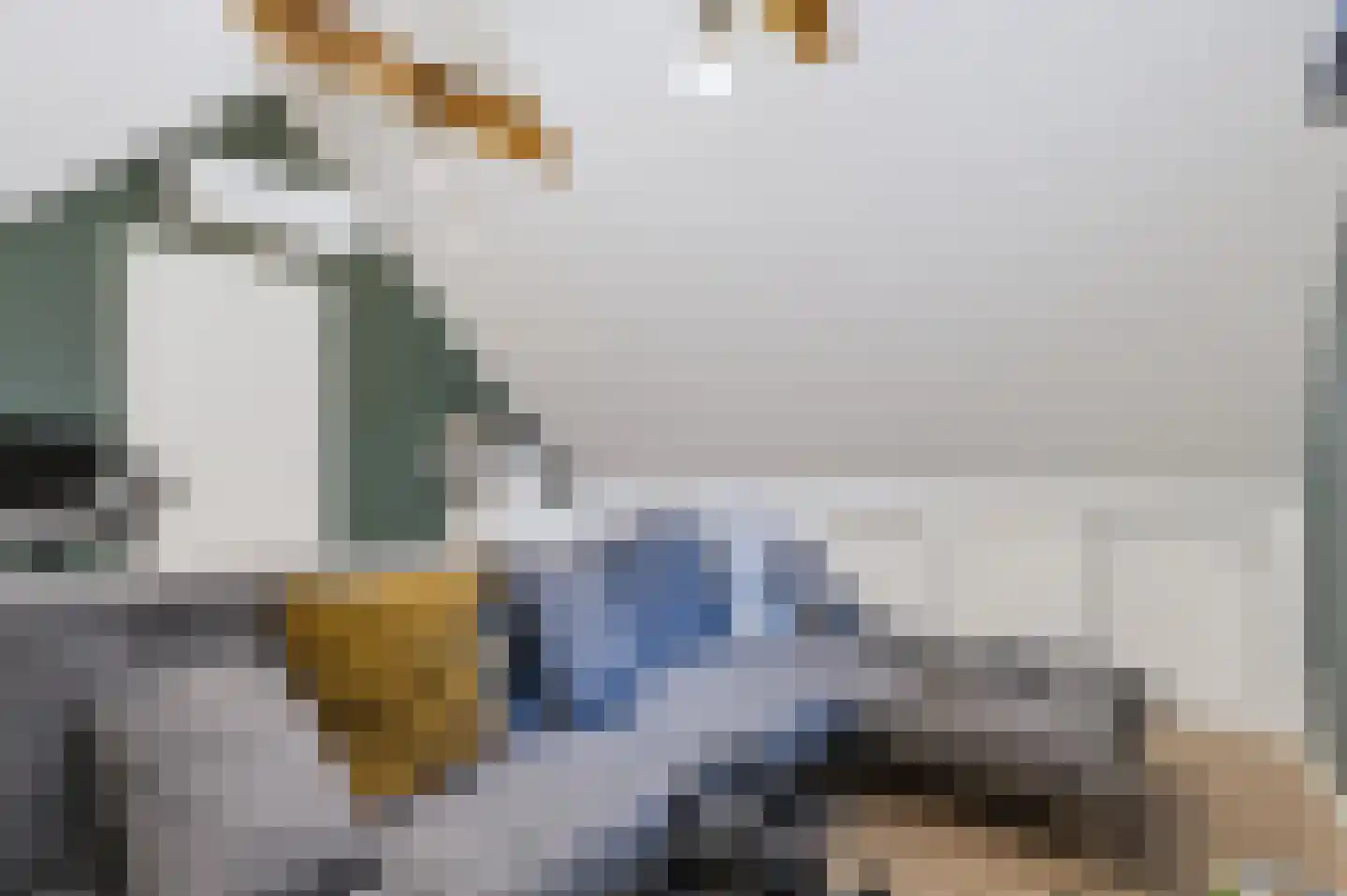 Lisdodde 5 Hardenberg thumbnail 34