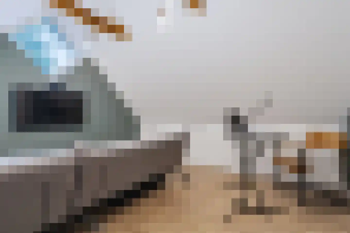 Lisdodde 5 Hardenberg thumbnail 35