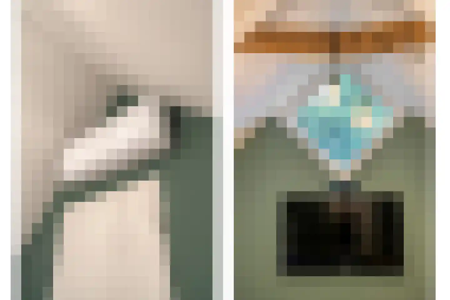 Lisdodde 5 Hardenberg thumbnail 36