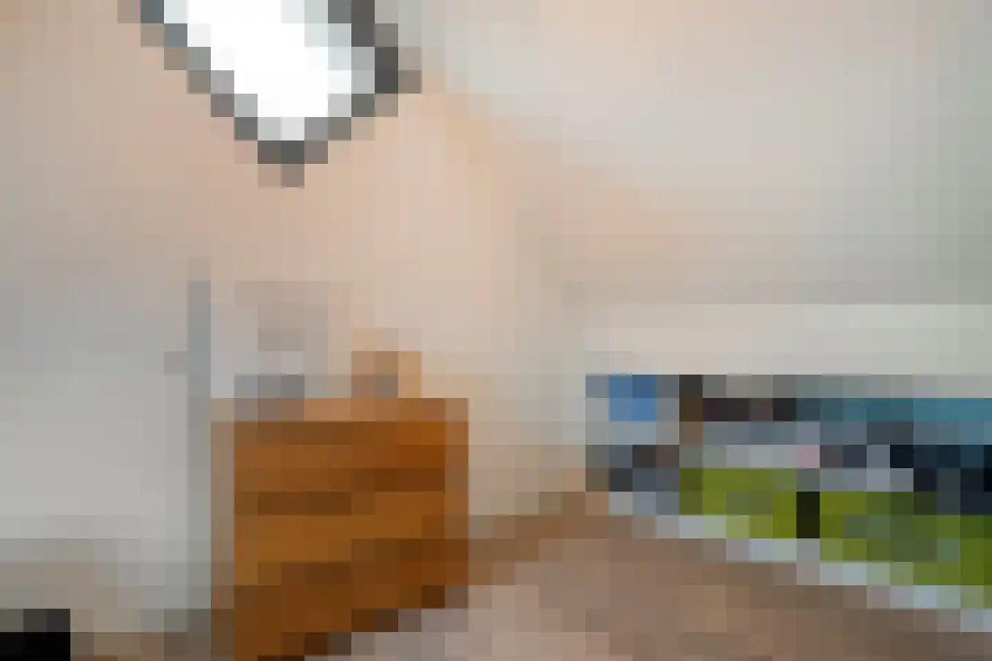 Lisdodde 5 Hardenberg thumbnail 37