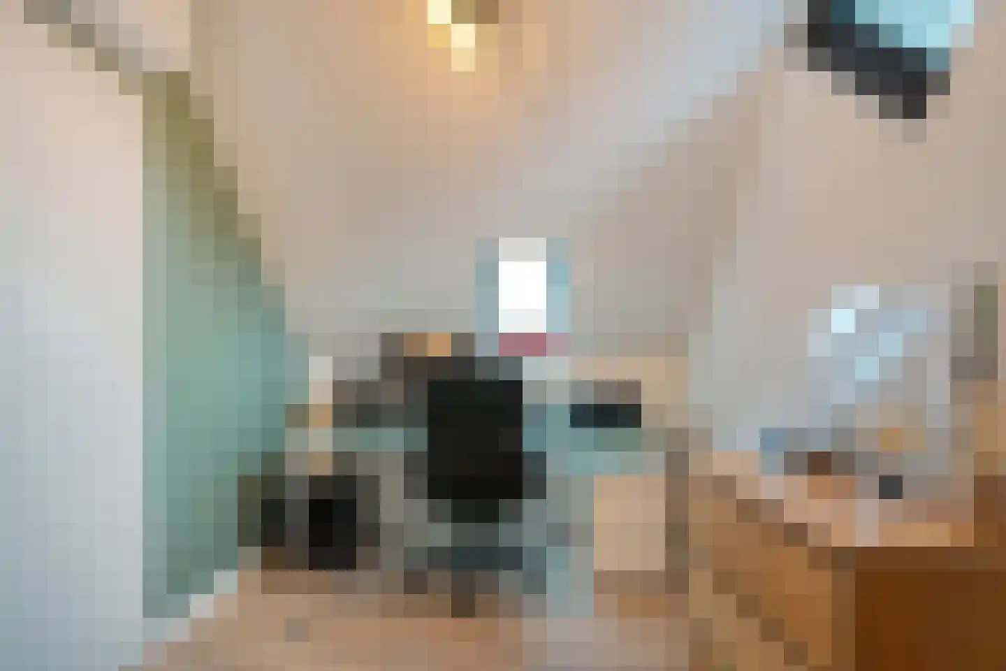 Lisdodde 5 Hardenberg thumbnail 38
