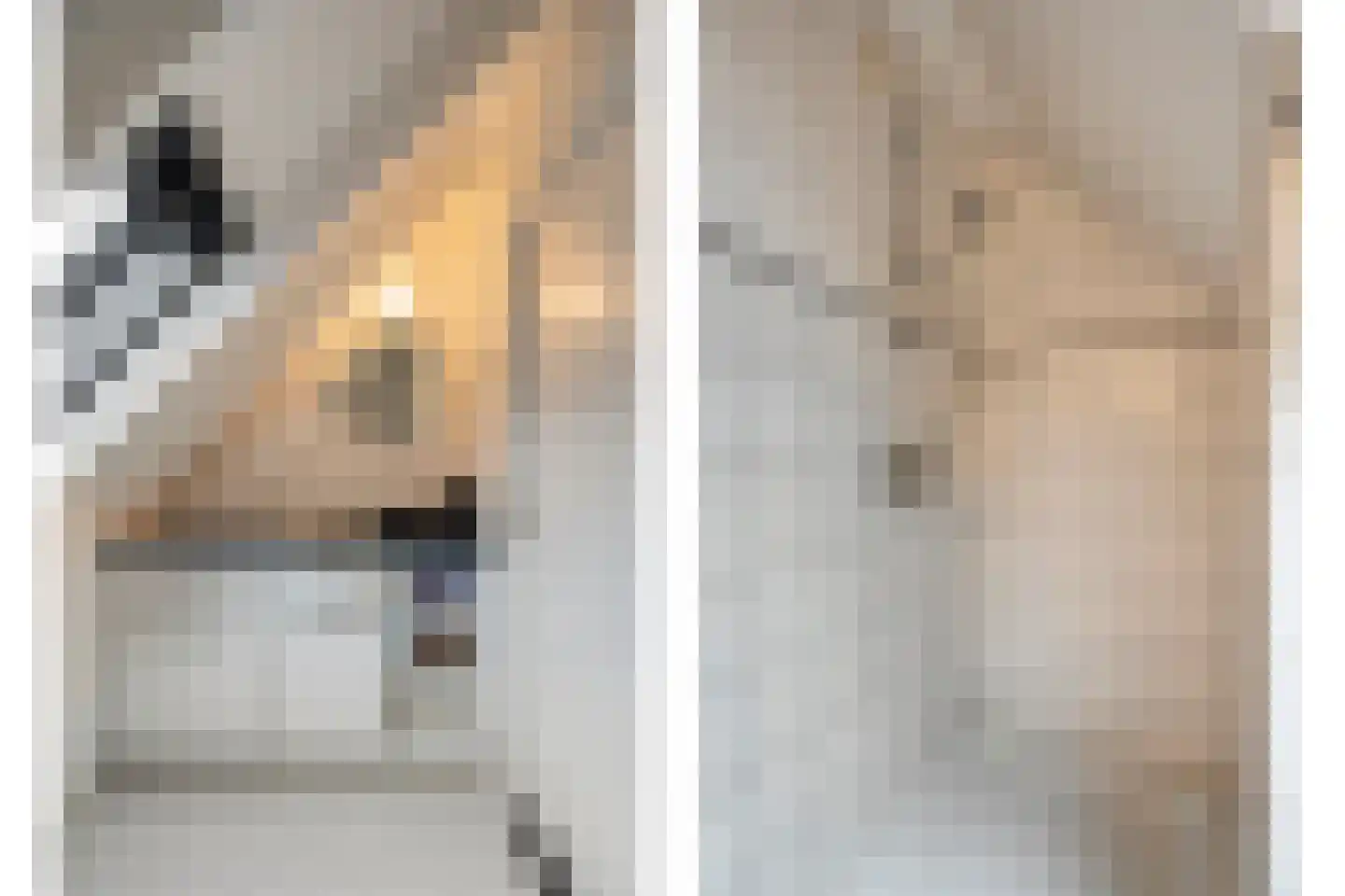Lisdodde 5 Hardenberg thumbnail 39
