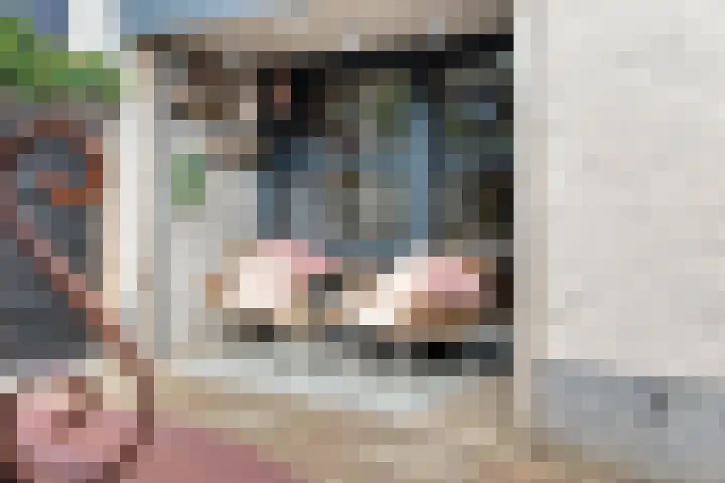 Lisdodde 5 Hardenberg thumbnail 40