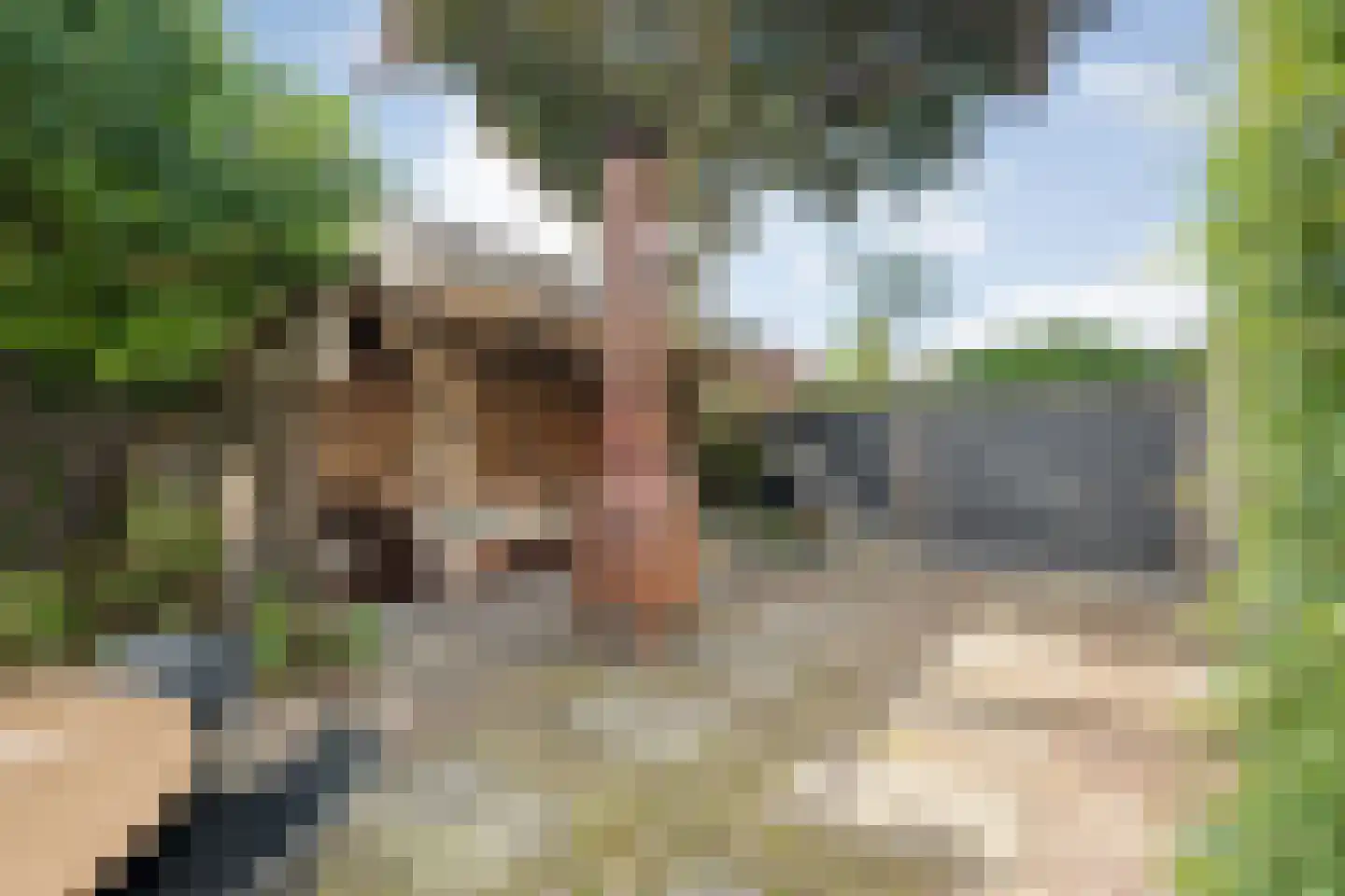 Lisdodde 5 Hardenberg thumbnail 41