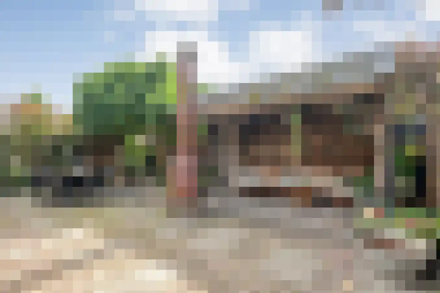 Lisdodde 5 Hardenberg thumbnail 42
