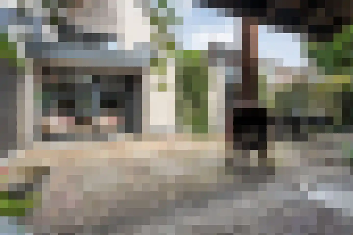 Lisdodde 5 Hardenberg thumbnail 43