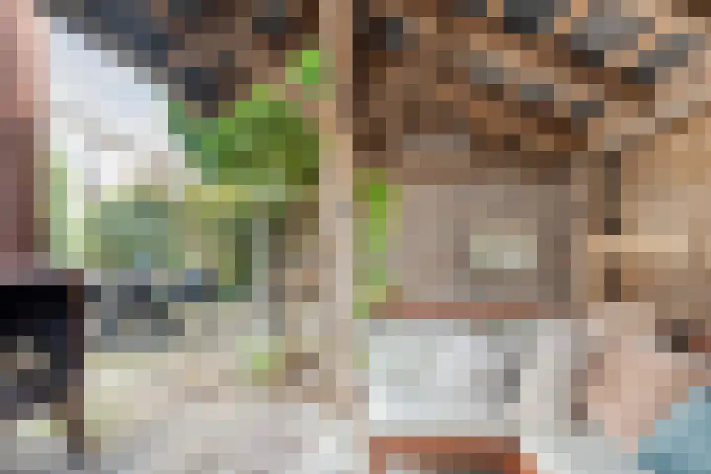 Lisdodde 5 Hardenberg thumbnail 44