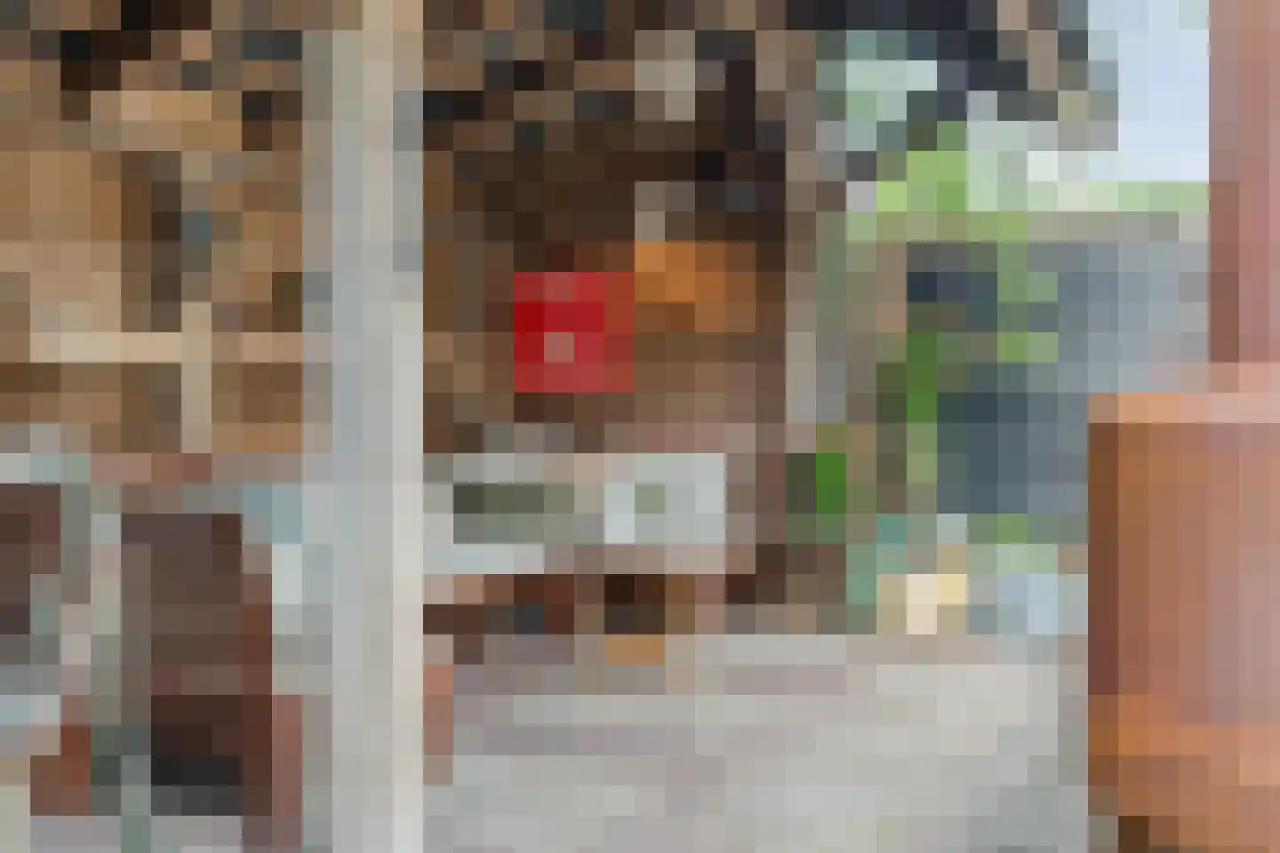 Lisdodde 5 Hardenberg thumbnail 45