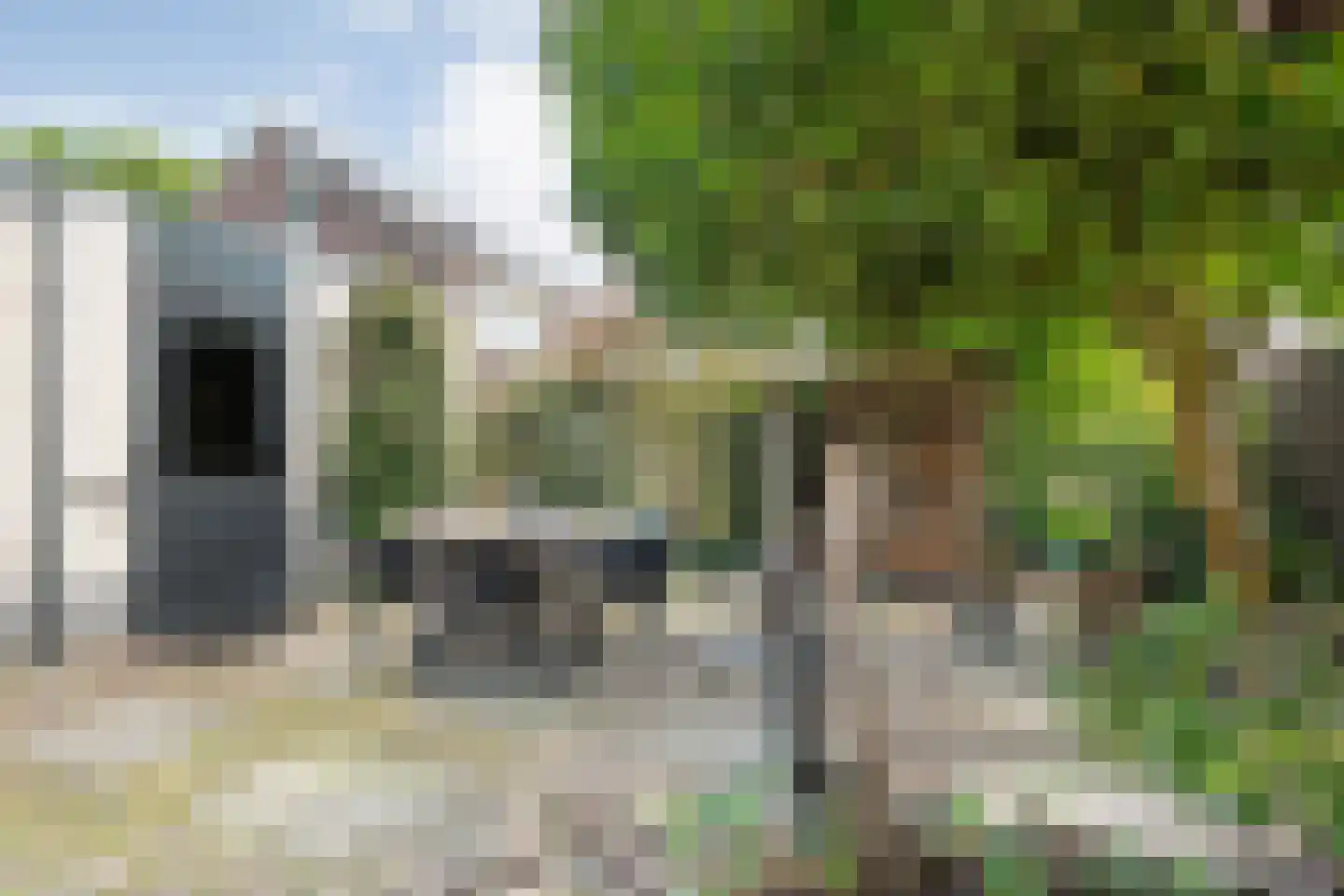 Lisdodde 5 Hardenberg thumbnail 46