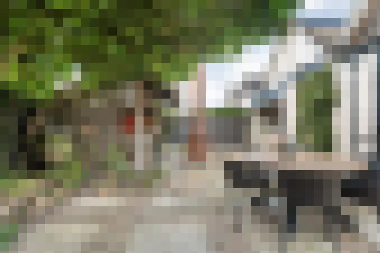 Lisdodde 5 Hardenberg thumbnail 47