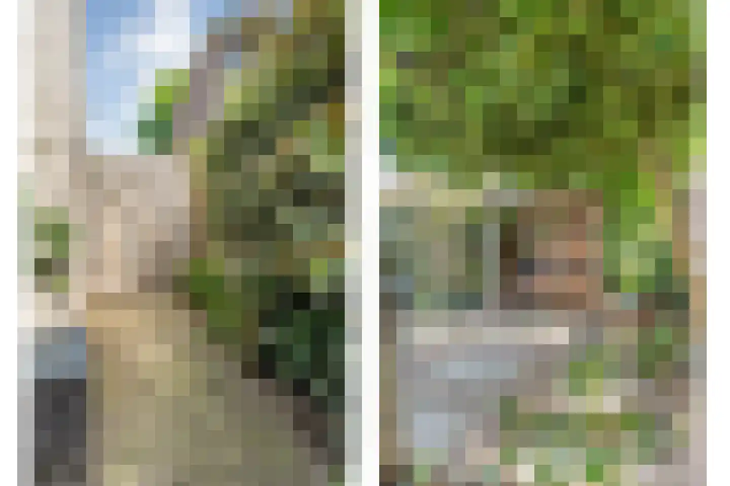 Lisdodde 5 Hardenberg thumbnail 48