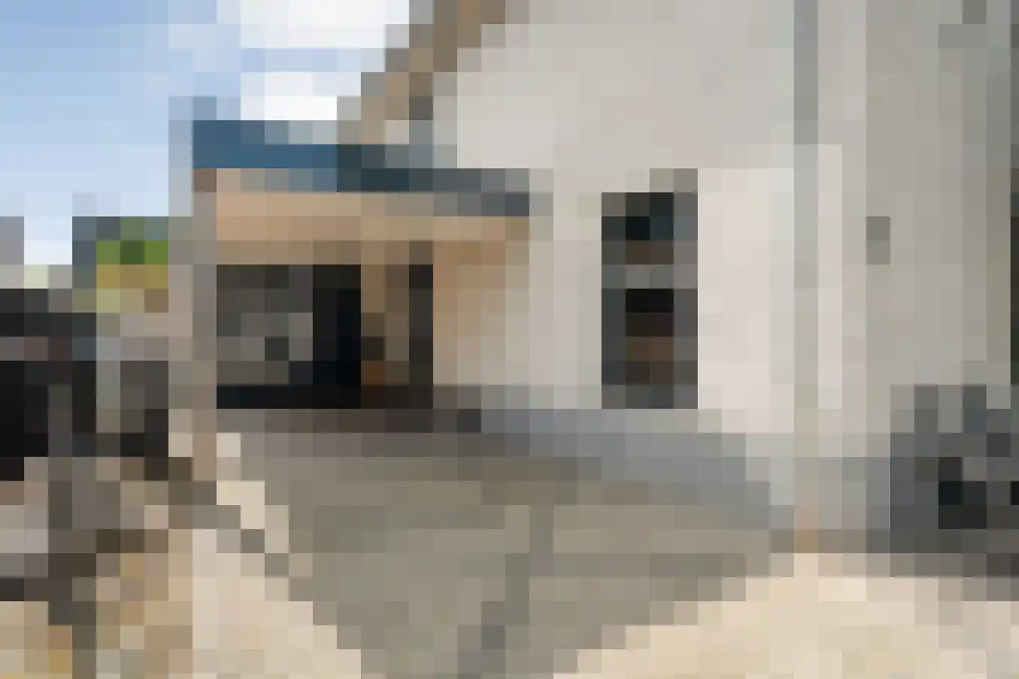 Lisdodde 5 Hardenberg thumbnail 49