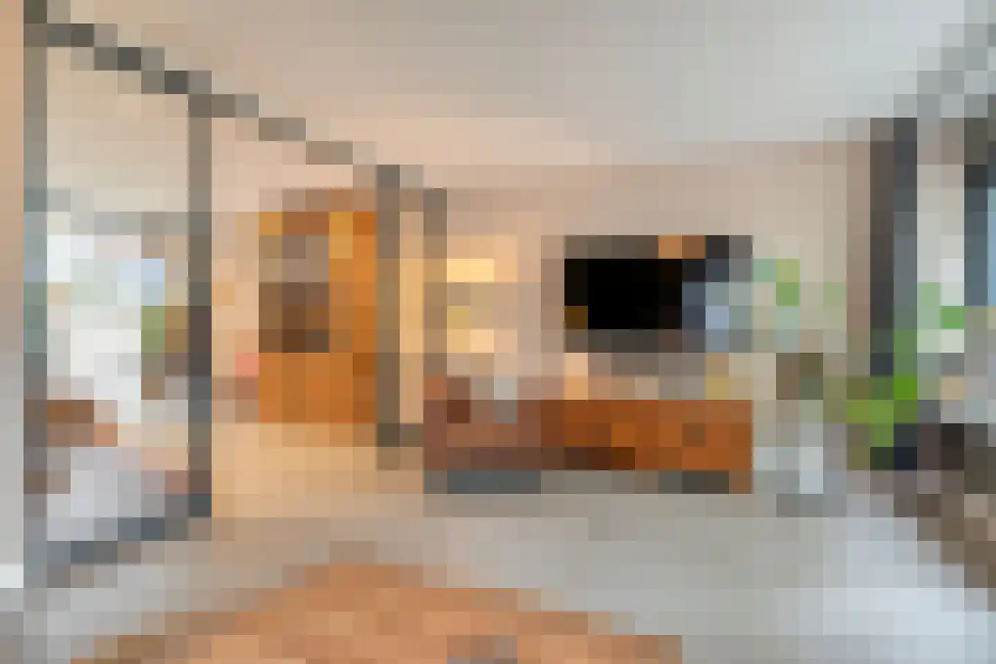 Lisdodde 5 Hardenberg thumbnail 5