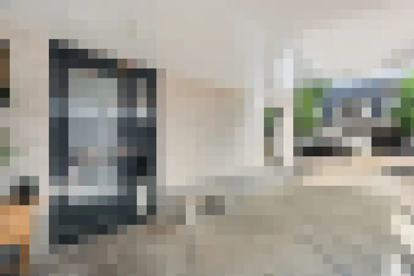 Lisdodde 5 Hardenberg thumbnail 51
