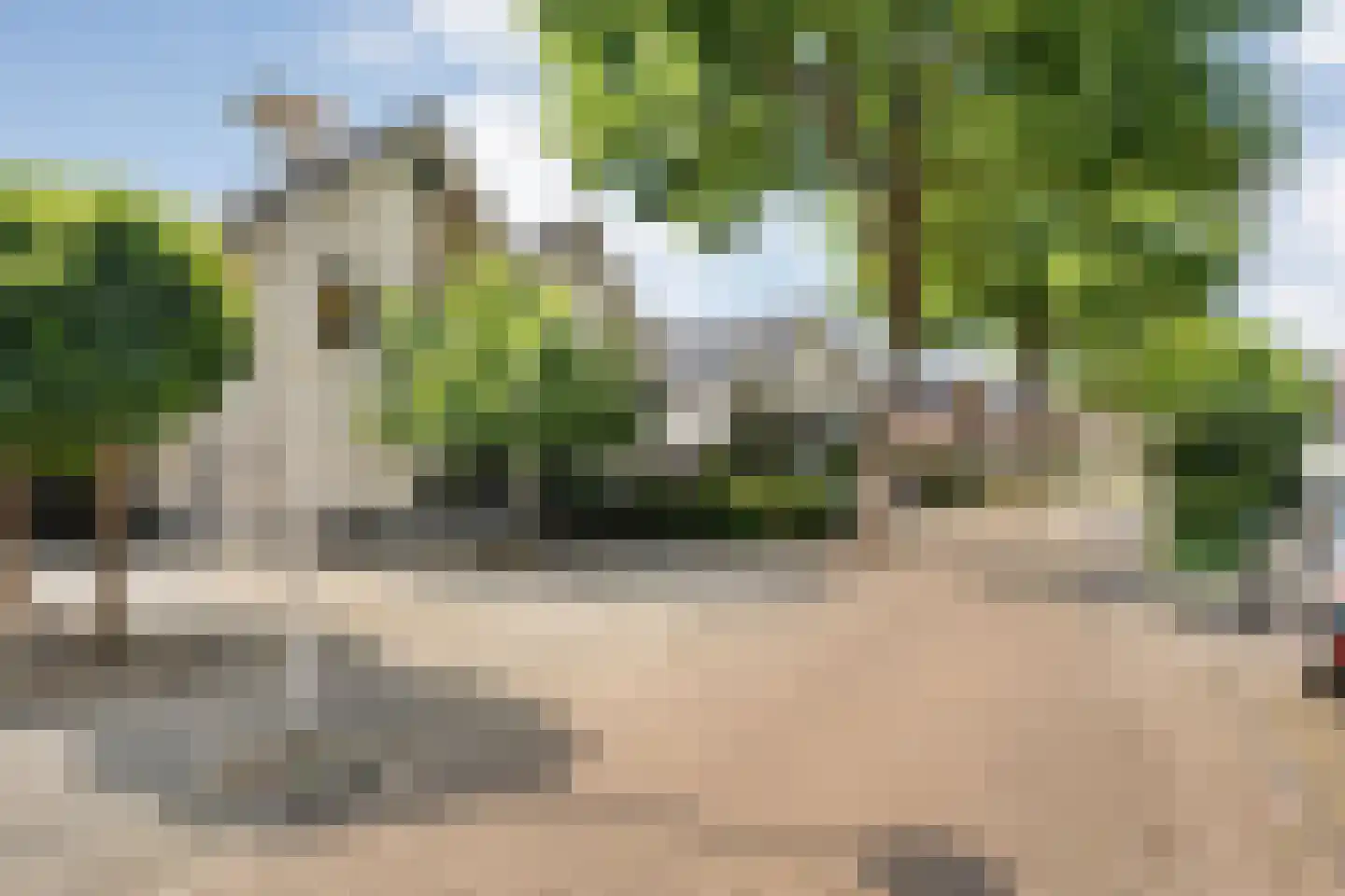 Lisdodde 5 Hardenberg thumbnail 52