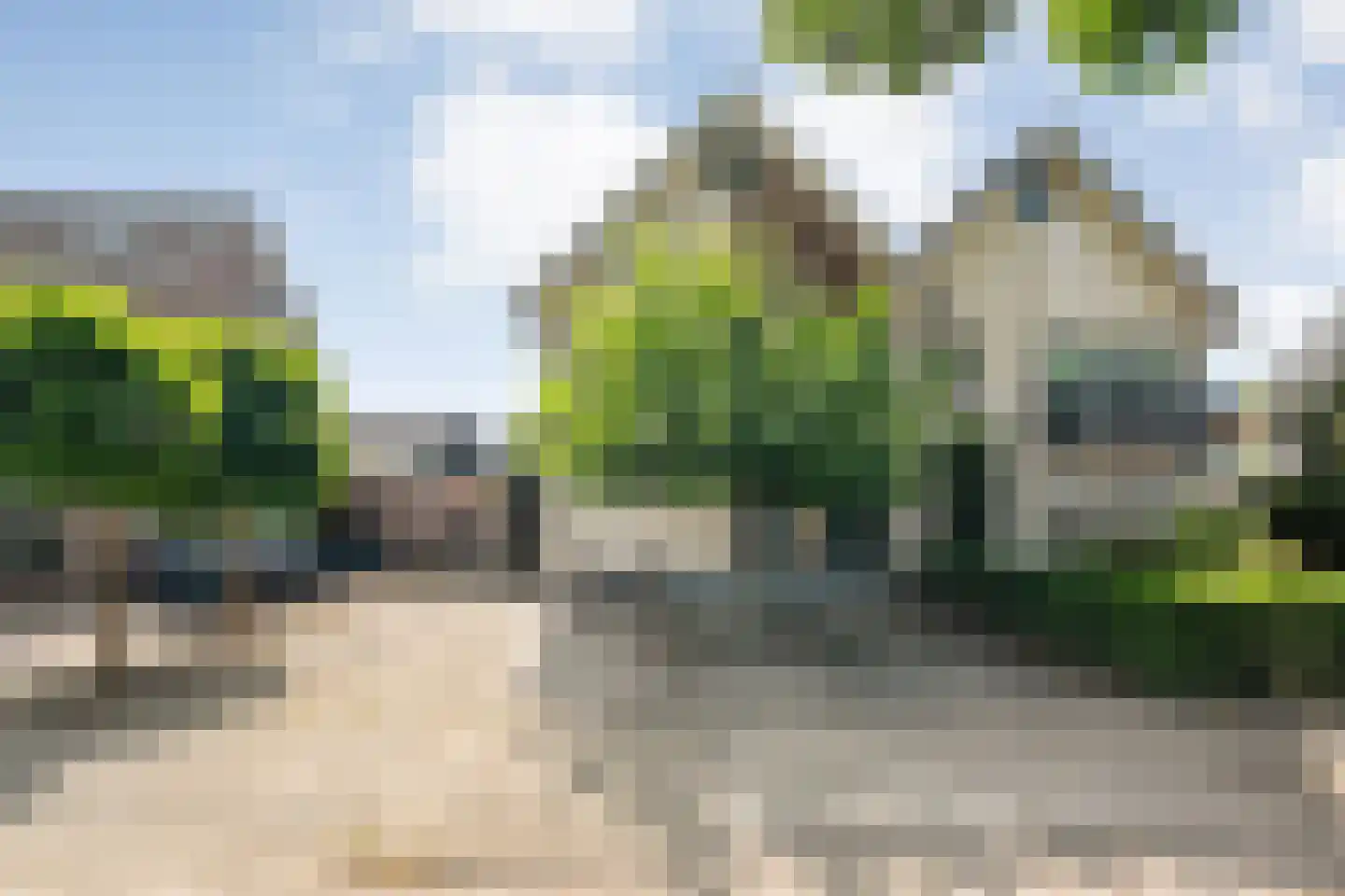 Lisdodde 5 Hardenberg thumbnail 53