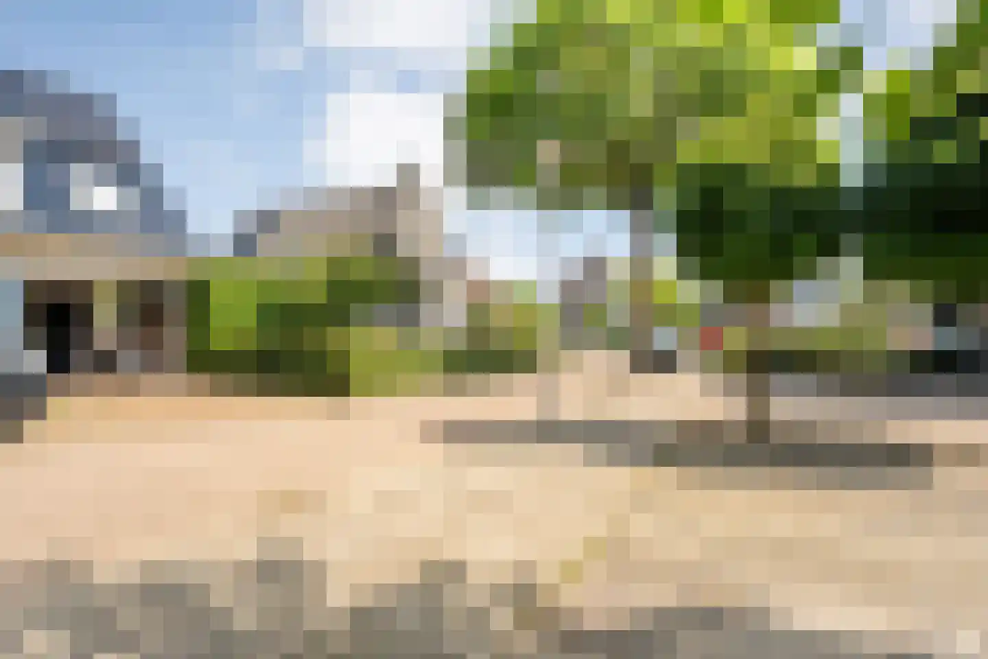 Lisdodde 5 Hardenberg thumbnail 54