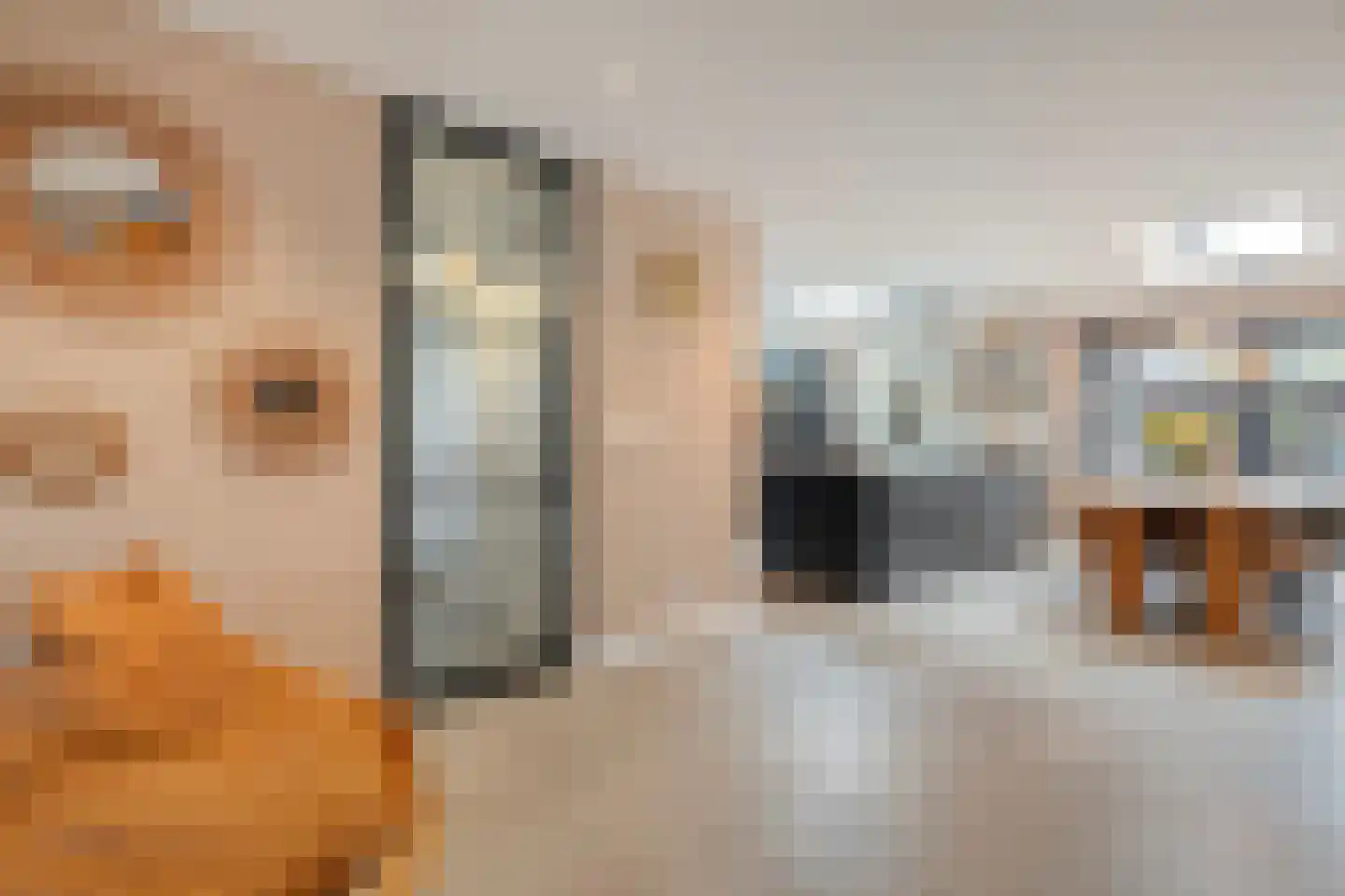 Lisdodde 5 Hardenberg thumbnail 7