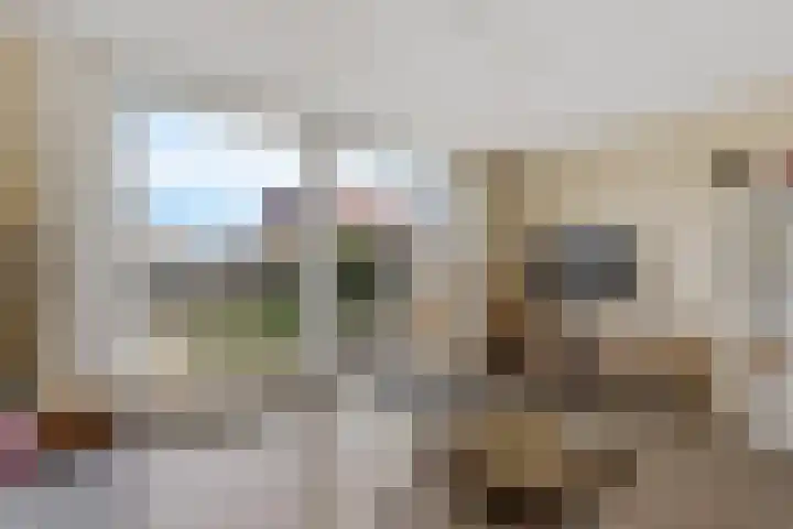 Lisdodde 5 Sneek thumbnail 10