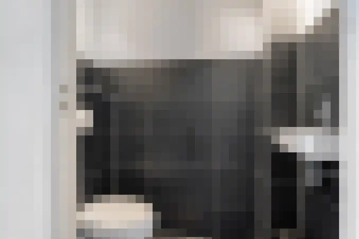 Lisdodde 5 Sneek thumbnail 12