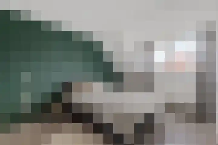 Lisdodde 5 Sneek thumbnail 16