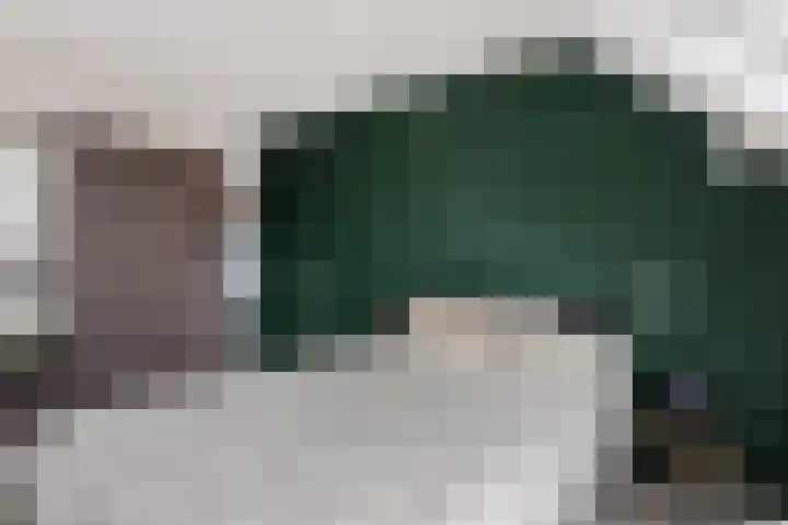Lisdodde 5 Sneek thumbnail 17
