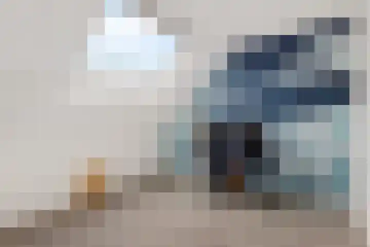 Lisdodde 5 Sneek thumbnail 19