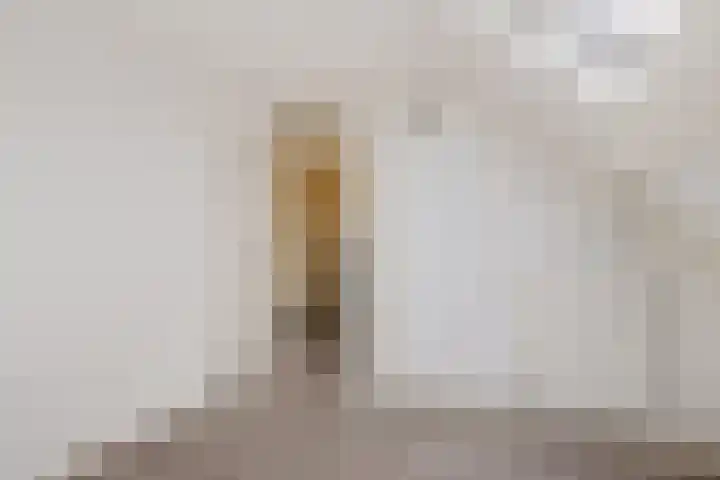 Lisdodde 5 Sneek thumbnail 20