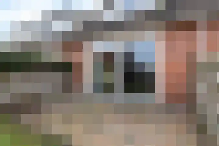 Lisdodde 5 Sneek thumbnail 24