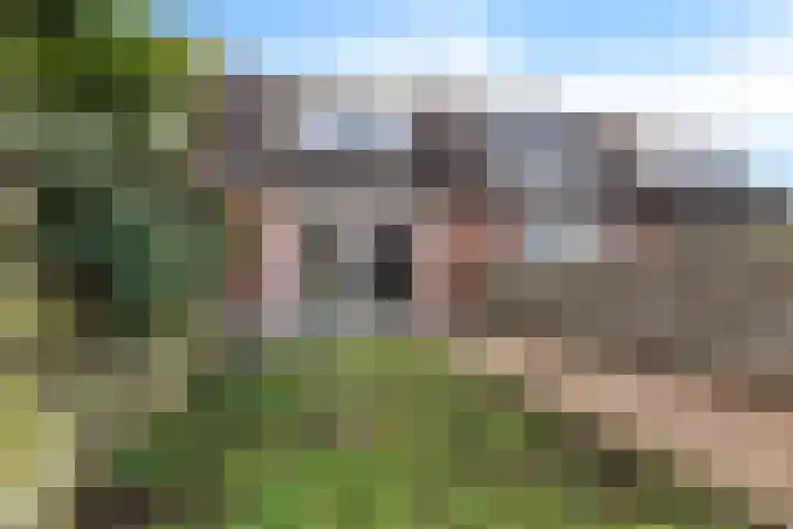 Lisdodde 5 Sneek thumbnail 26
