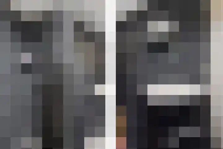Lisdodde 5 Sneek thumbnail 27
