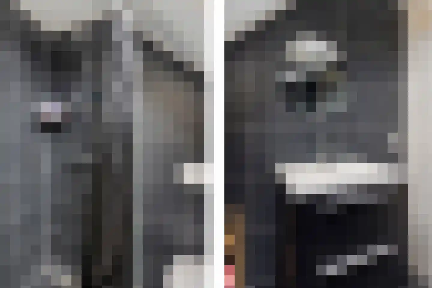Lisdodde 5 Sneek thumbnail 27