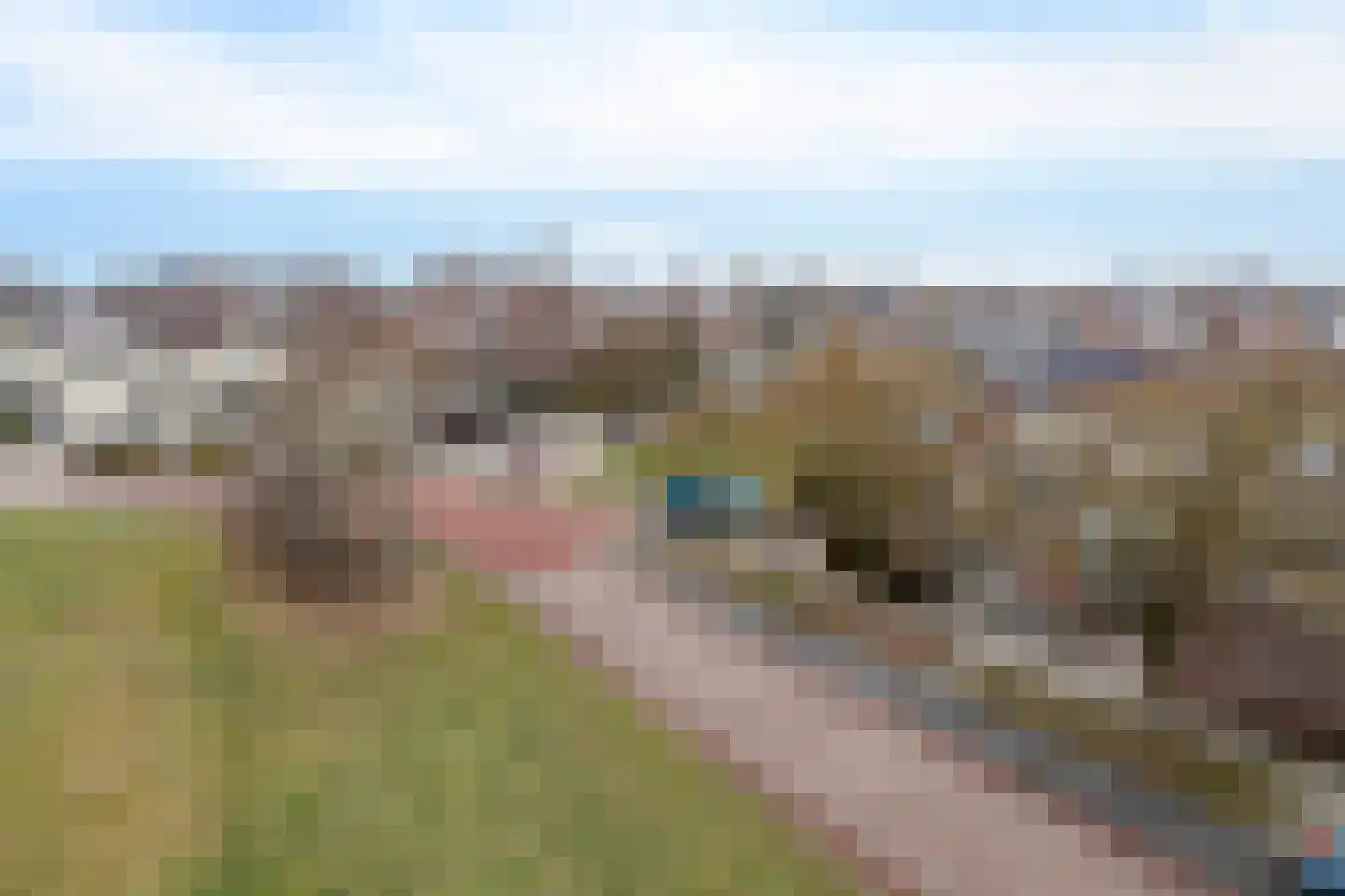 Lisdodde 5 Sneek thumbnail 31