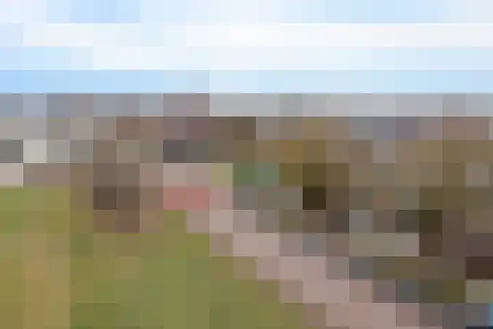 Lisdodde 5 Sneek thumbnail 31