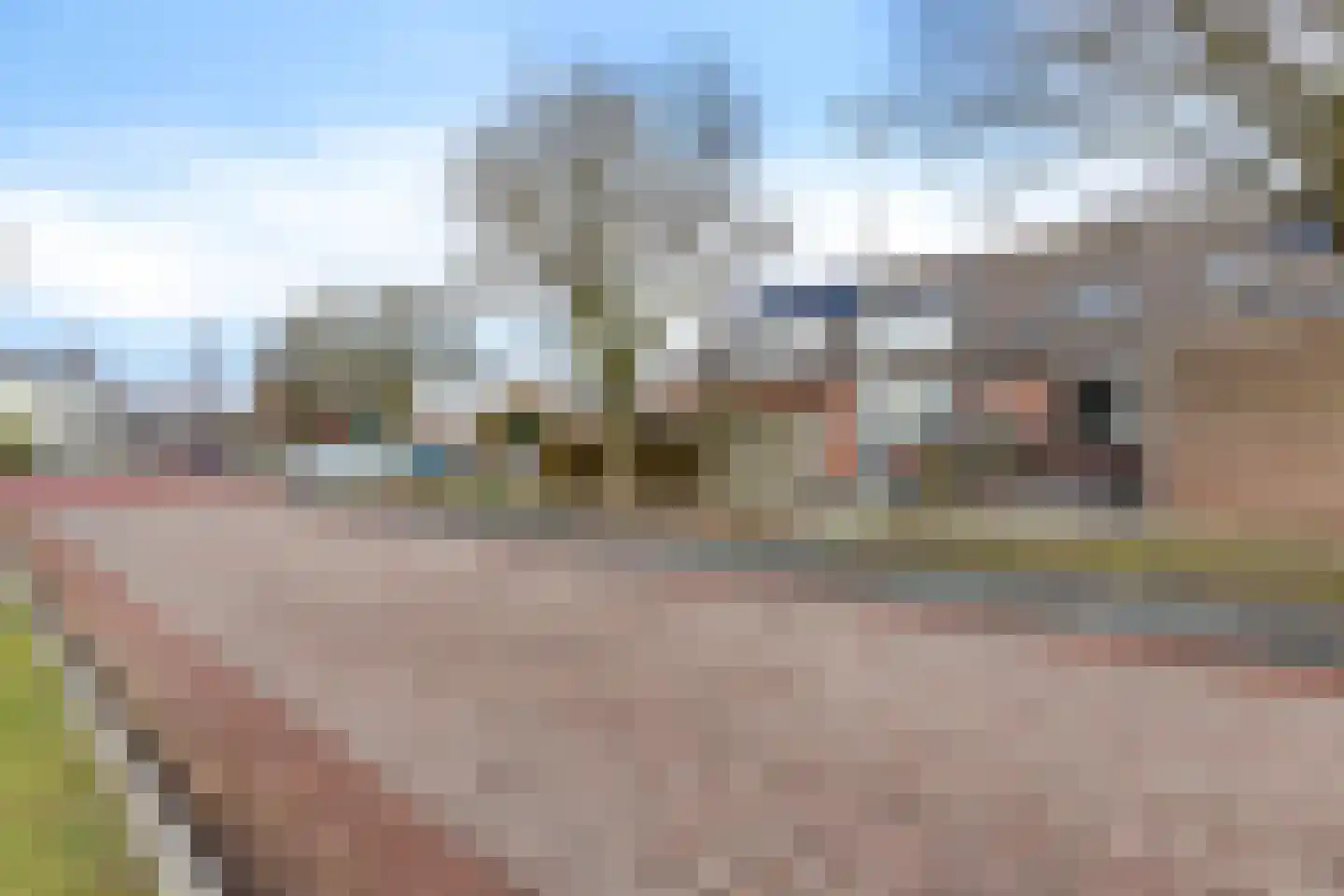 Lisdodde 5 Sneek thumbnail 33