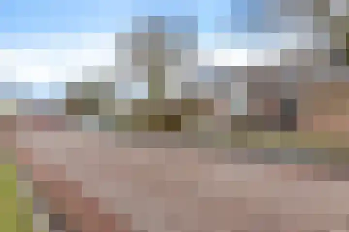 Lisdodde 5 Sneek thumbnail 33