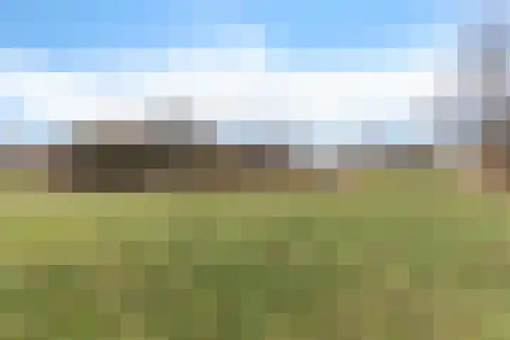 Lisdodde 5 Sneek thumbnail 34