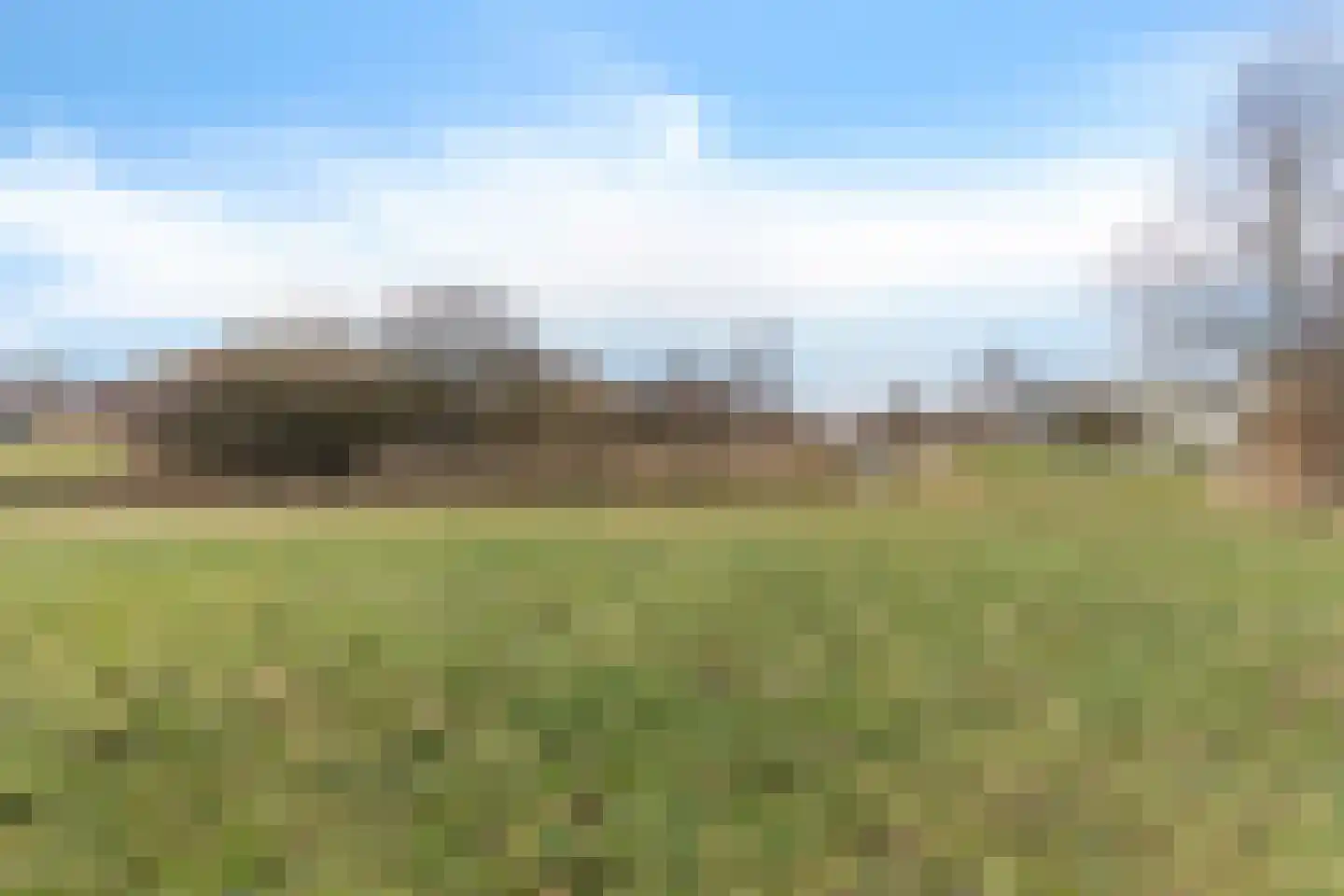 Lisdodde 5 Sneek thumbnail 34