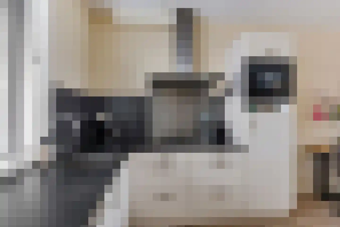 Lisdodde 5 Sneek thumbnail 5