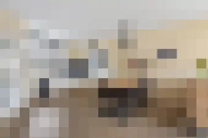 Lisdodde 5 Sneek thumbnail 7