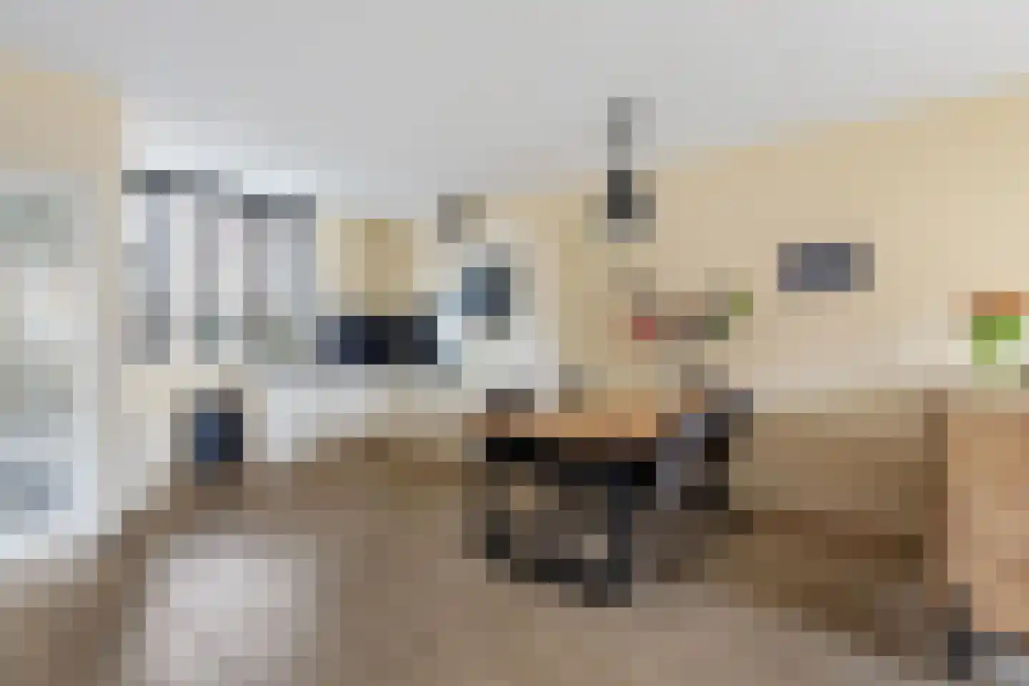 Lisdodde 5 Sneek thumbnail 7