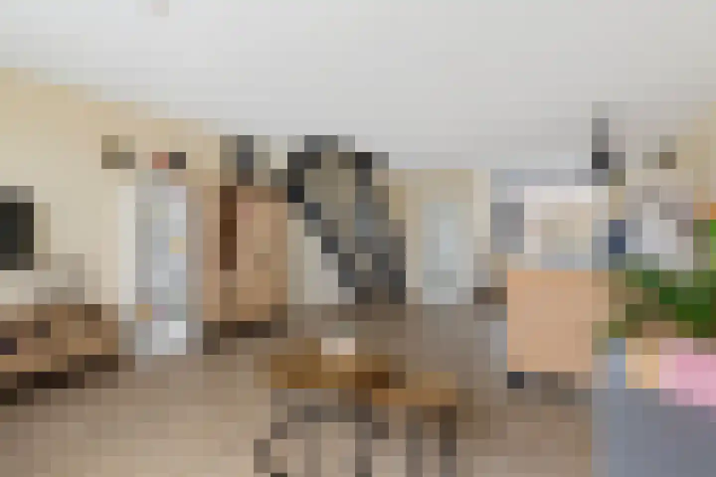 Lisdodde 5 Sneek thumbnail 9