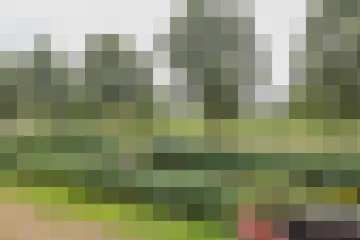 Lisdodde 51 Alphen aan den Rijn thumbnail 31