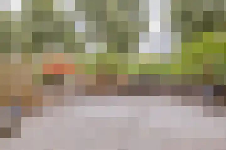 Lisdodde 51 Alphen aan den Rijn thumbnail 36